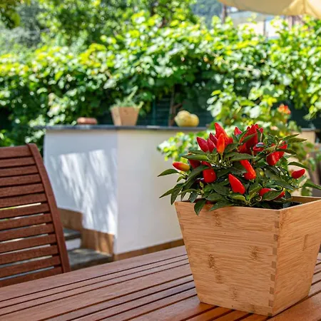 Pensionat Xenia House Sorrento